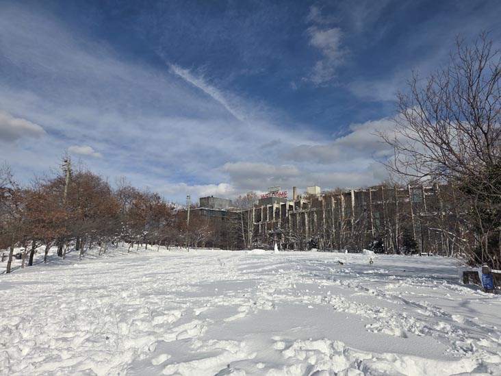 Harbor View Lawn, Pier 1, Brooklyn Bridge Park, Brooklyn, February 24, 2026