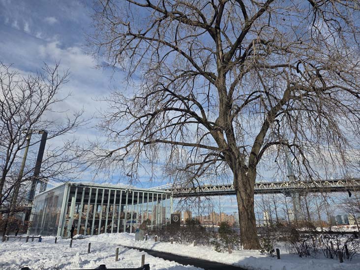 Jane's Carousel, Empire Fulton Ferry, Brooklyn Bridge Park, Brooklyn, February 24, 2026