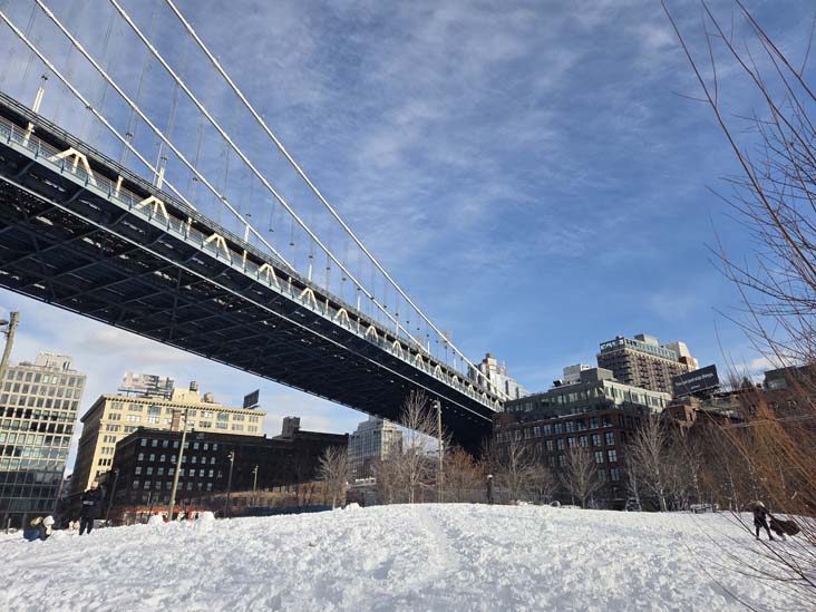 Manhattan Bridge, Main Street Lawn, Brooklyn Bridge Park, Brooklyn, February 24, 2026