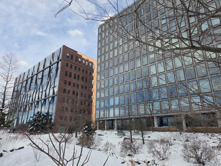 1 John Street and 10 Jay Street From John Street, Brooklyn Bridge Park, Brooklyn, February 24, 2026