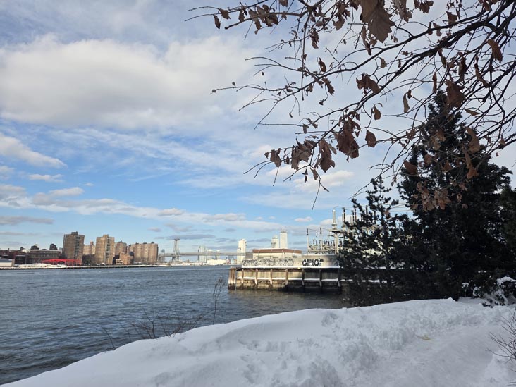 John Street, Brooklyn Bridge Park, Brooklyn, February 24, 2026