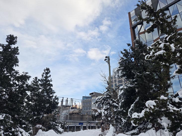John Street, Brooklyn Bridge Park, Brooklyn, February 24, 2026