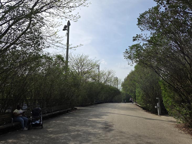 Pier 6, Brooklyn Bridge Park, Brooklyn, April 16, 2026