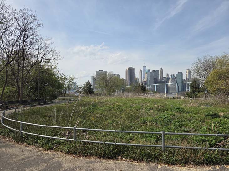 Flower Field, Pier 6, Brooklyn Bridge Park, Brooklyn, April 16, 2026