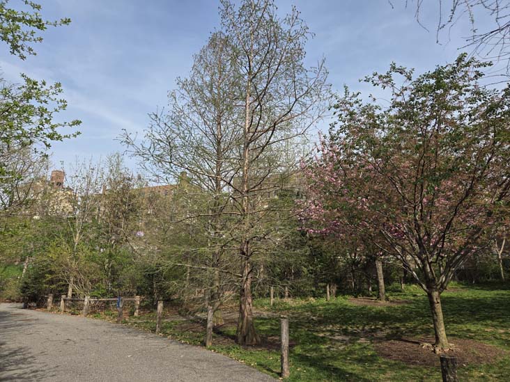 Pier 5 Uplands, Brooklyn Bridge Park, Brooklyn, April 16, 2026