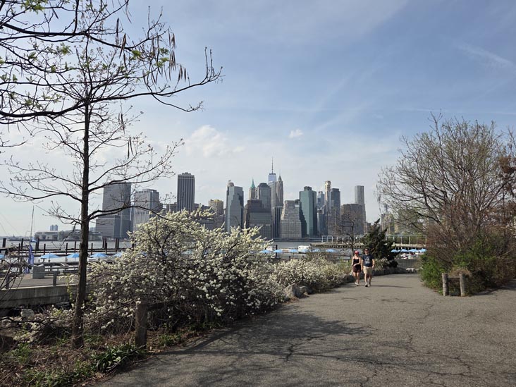 Pier 5 Uplands, Brooklyn Bridge Park, Brooklyn, April 16, 2026