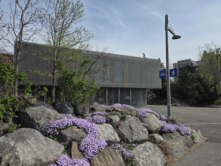 Pier 5 Uplands, Brooklyn Bridge Park, Brooklyn, April 16, 2026