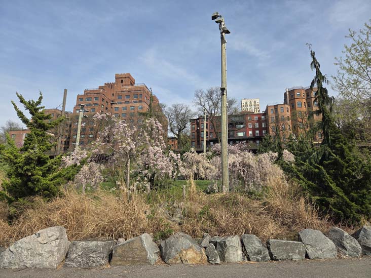 Pier 2 Uplands, Brooklyn Bridge Park, Brooklyn, April 16, 2026