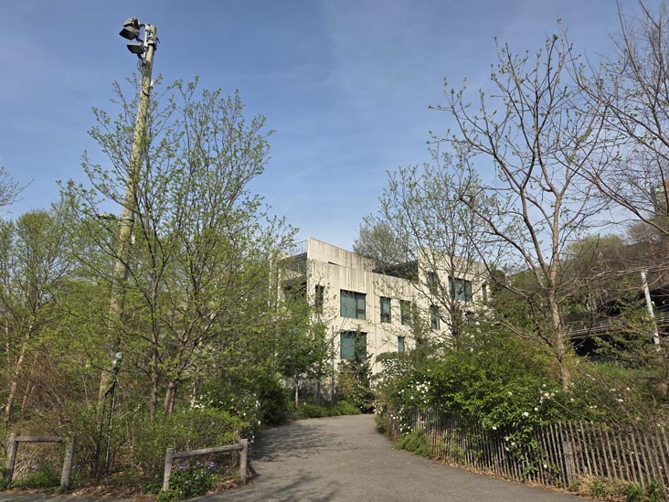 Pier 2 Uplands, Brooklyn Bridge Park, Brooklyn, April 16, 2026
