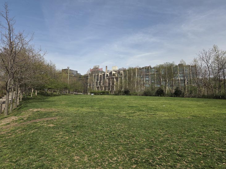 Harbor View Lawn, Pier 1, Brooklyn Bridge Park, Brooklyn, April 16, 2026
