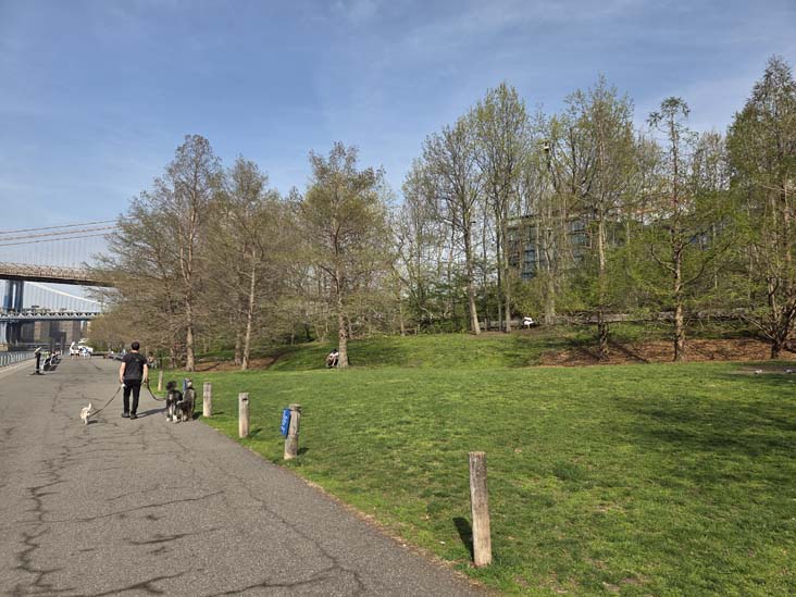 Pier 1, Brooklyn Bridge Park, Brooklyn, April 16, 2026