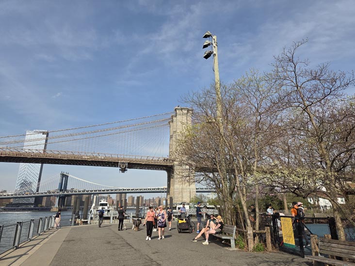 Pier 1, Brooklyn Bridge Park, Brooklyn, April 16, 2026