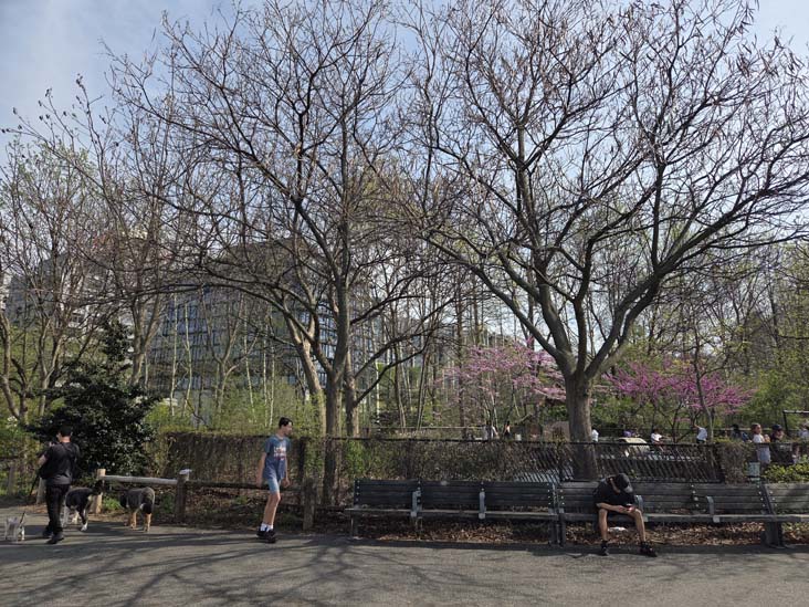 Pier 1, Brooklyn Bridge Park, Brooklyn, April 16, 2026
