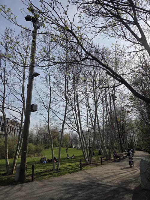 Bridge View Lawn, Pier 1, Brooklyn Bridge Park, Brooklyn, April 16, 2026