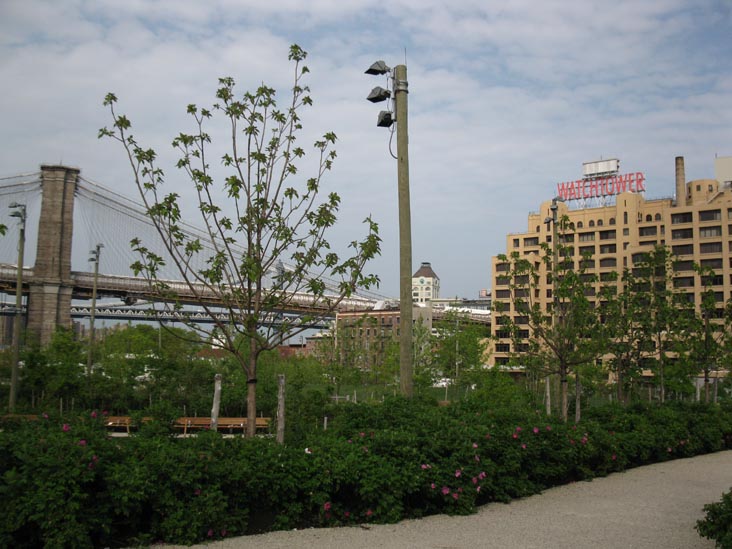 Brooklyn Bridge Park, Brooklyn, May 13, 2011