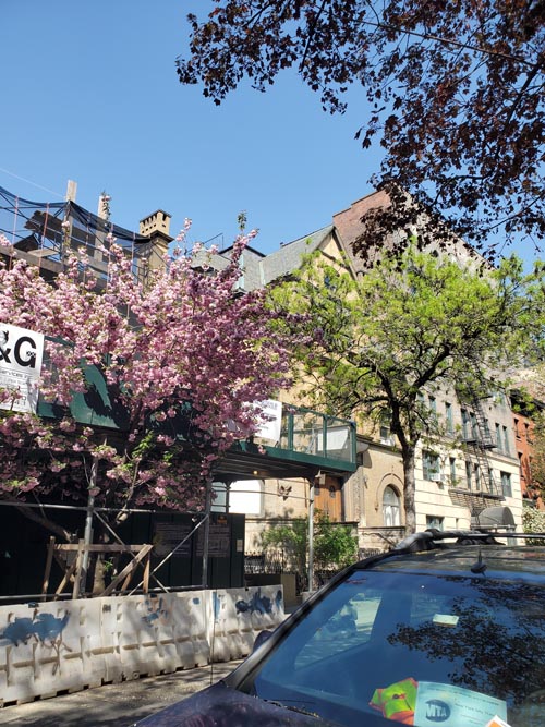 Joralemon Street Between Henry Street and Sidney Place, Brooklyn Heights, Brooklyn, April 24, 2025