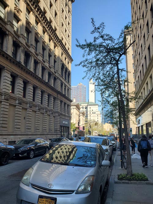 Joralemon Street Near Court Street, Brooklyn Heights, Brooklyn, April 24, 2025