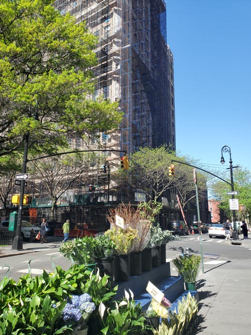 Joralemon Street at Clinton Street, Brooklyn Heights, Brooklyn, April 28, 2025