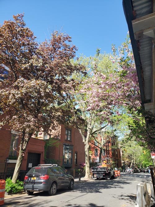 Joralemon Street at Henry Street, Brooklyn Heights, Brooklyn, April 28, 2025