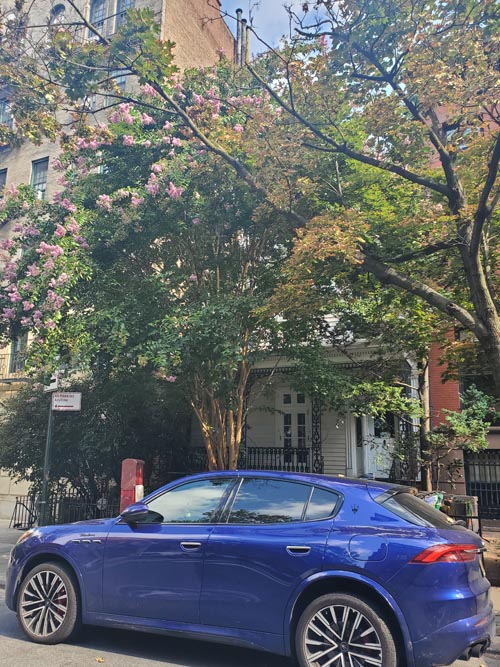 135 Joralemon Street, Brooklyn Heights, Brooklyn, August 25, 2025