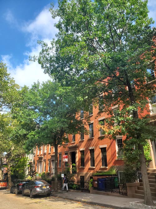 Joralemon Street Between Willow Place and Columbia Place, Brooklyn Heights, Brooklyn, August 25, 2025