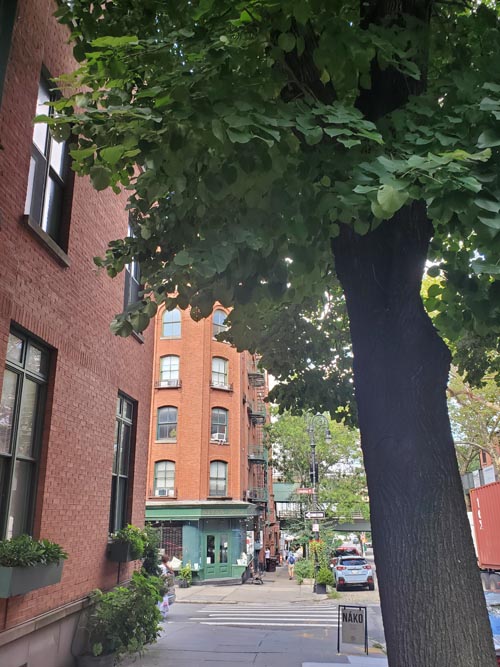 Joralemon Street at Columbia Place, Brooklyn Heights, Brooklyn, August 25, 2025