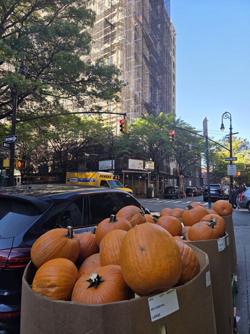 Joralemon Street at Clinton Street, Brooklyn Heights, Brooklyn, October 27, 2025