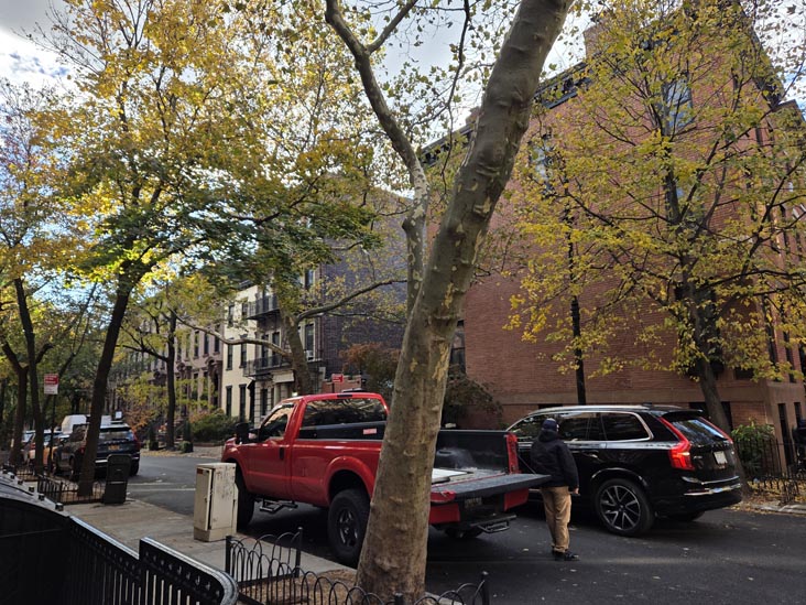 Joralemon Street at Garden Place, Brooklyn Heights, Brooklyn, November 6, 2025