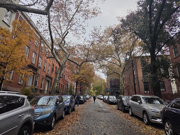 Joralemon Street Near Columbia Place, Brooklyn Heights, Brooklyn, November 10, 2025