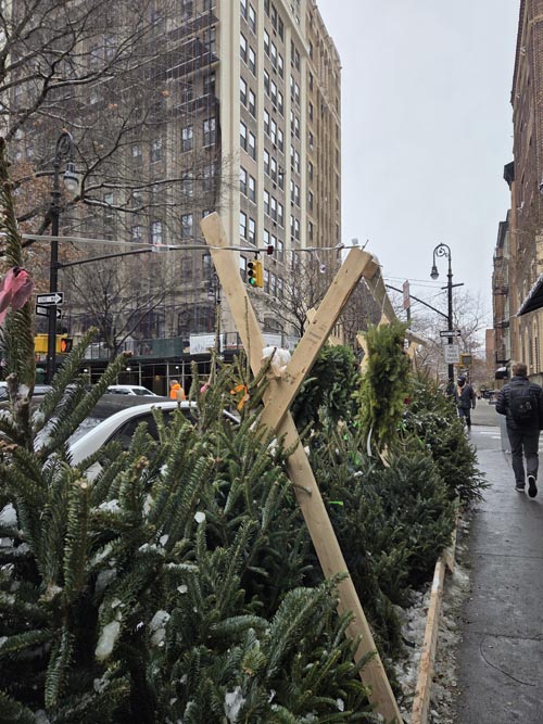 Joralemon Street at Clinton Street, Brooklyn Heights, Brooklyn, December 15, 2025