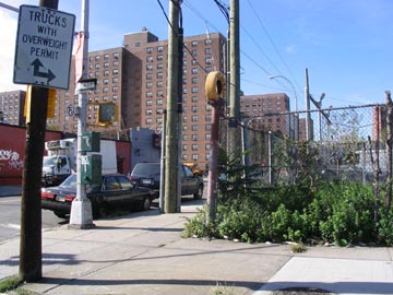 Junius Street, Brownsville, Brooklyn