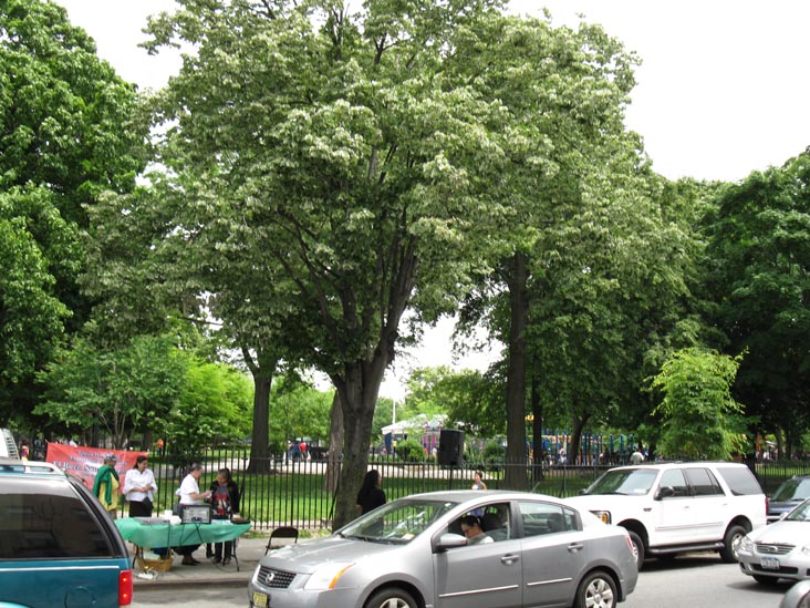 Maria Hernandez Park, Knickerbocker Avenue Between Starr Street and Suydam Street, Bushwick, Brooklyn
