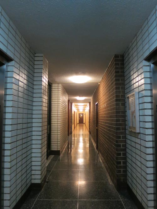 St. James Towers, Clinton Hill, Brooklyn, February 15, 2013