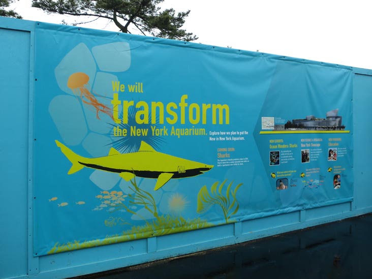 Recovery Wall, New York Aquarium, Coney Island, Brooklyn, May 28, 2013