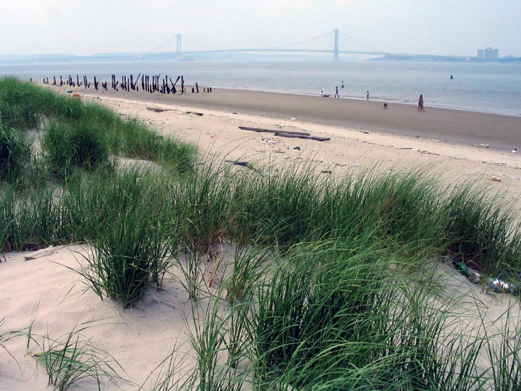 Verrazano-Narrows Bridge From Coney Island Creek Park, Coney Island, Brooklyn