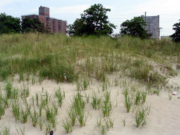 Coney Island Creek Park, Coney Island, Brooklyn