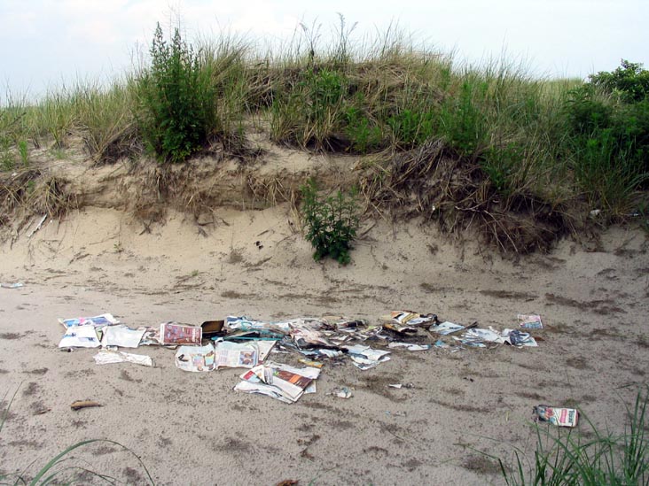 Coney Island Creek Park, Coney Island, Brooklyn