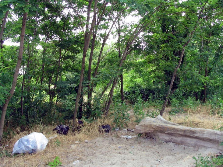 Coney Island Creek Park, Coney Island, Brooklyn