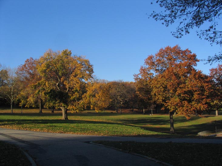 Fall Foliage, Highland Park, Brooklyn