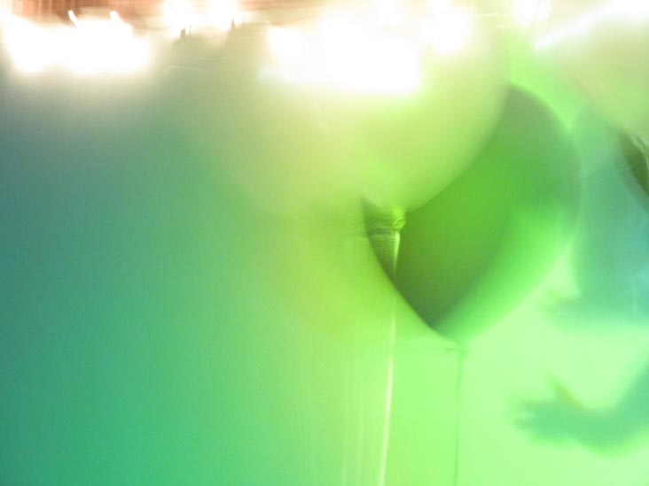 Enid's, 560 Manhattan Avenue, Greenpoint, Brooklyn, November 22, 2008