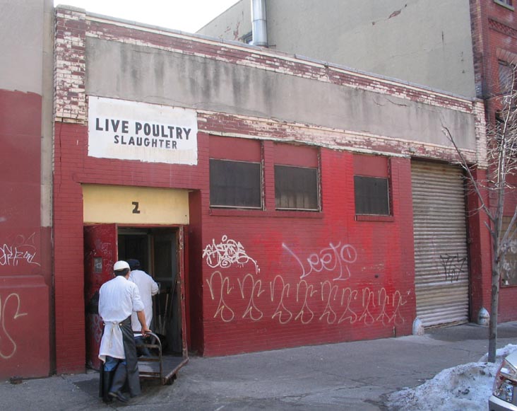 Live Poultry, Greenpoint Avenue, Greenpoint, Brooklyn