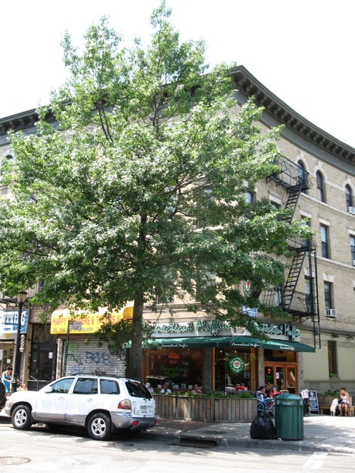 Bartel-Pritchard Square, Park Slope, Brooklyn, July 10, 2011
