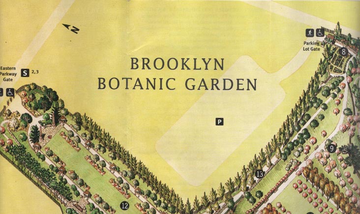 Brooklyn Botanic Garden Map