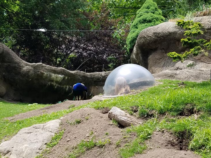 Prospect Park Zoo, Prospect Park, Brooklyn, June 7, 2018