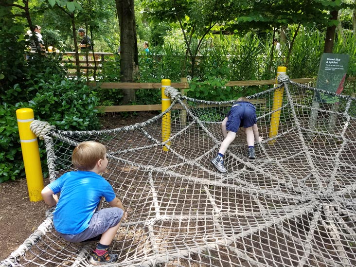 Prospect Park Zoo, Prospect Park, Brooklyn, June 7, 2018