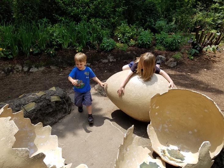 Prospect Park Zoo, Prospect Park, Brooklyn, June 7, 2018