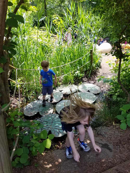 Prospect Park Zoo, Prospect Park, Brooklyn, June 7, 2018