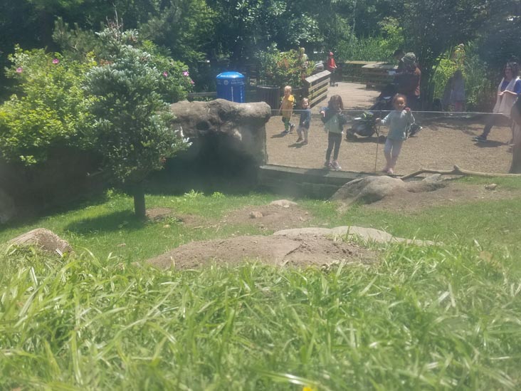 Prospect Park Zoo, Prospect Park, Brooklyn, June 7, 2018