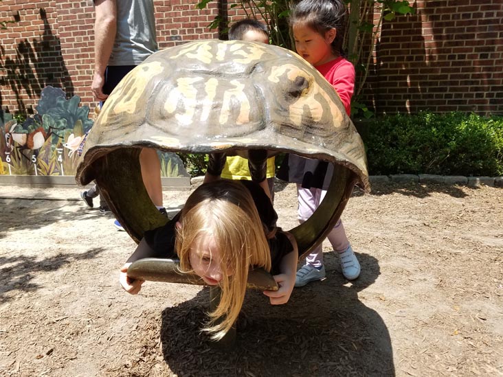 Prospect Park Zoo, Prospect Park, Brooklyn, June 7, 2018