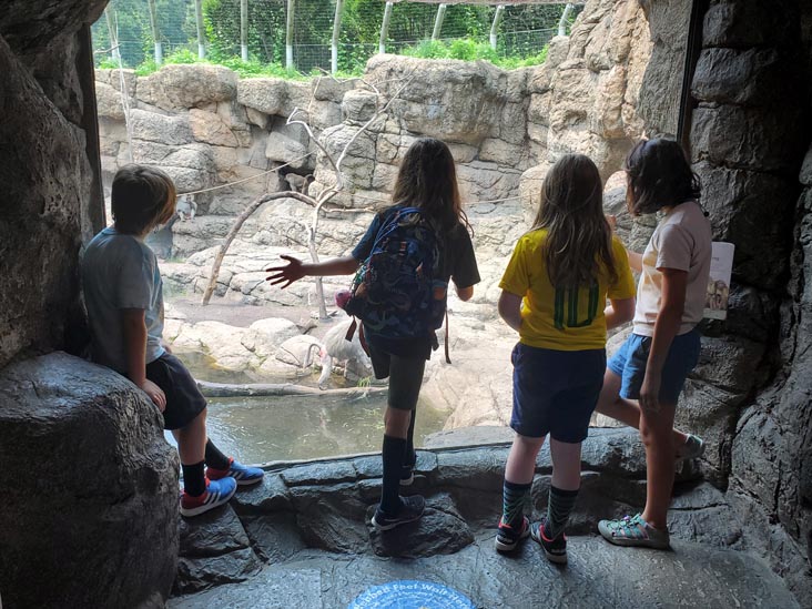 Prospect Park Zoo, Prospect Park, Brooklyn, July 20, 2021